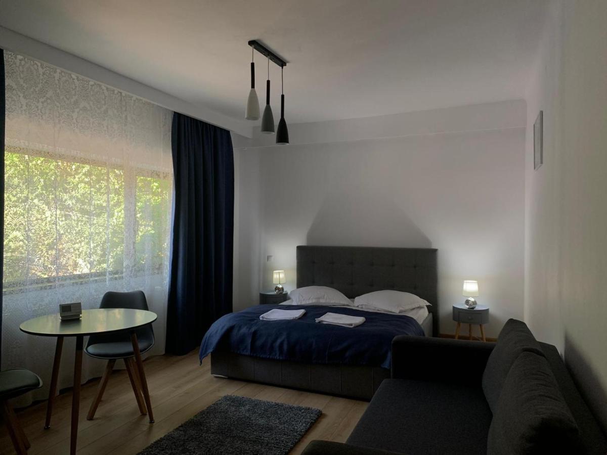 Residence Sinaia Apartments Apartament *