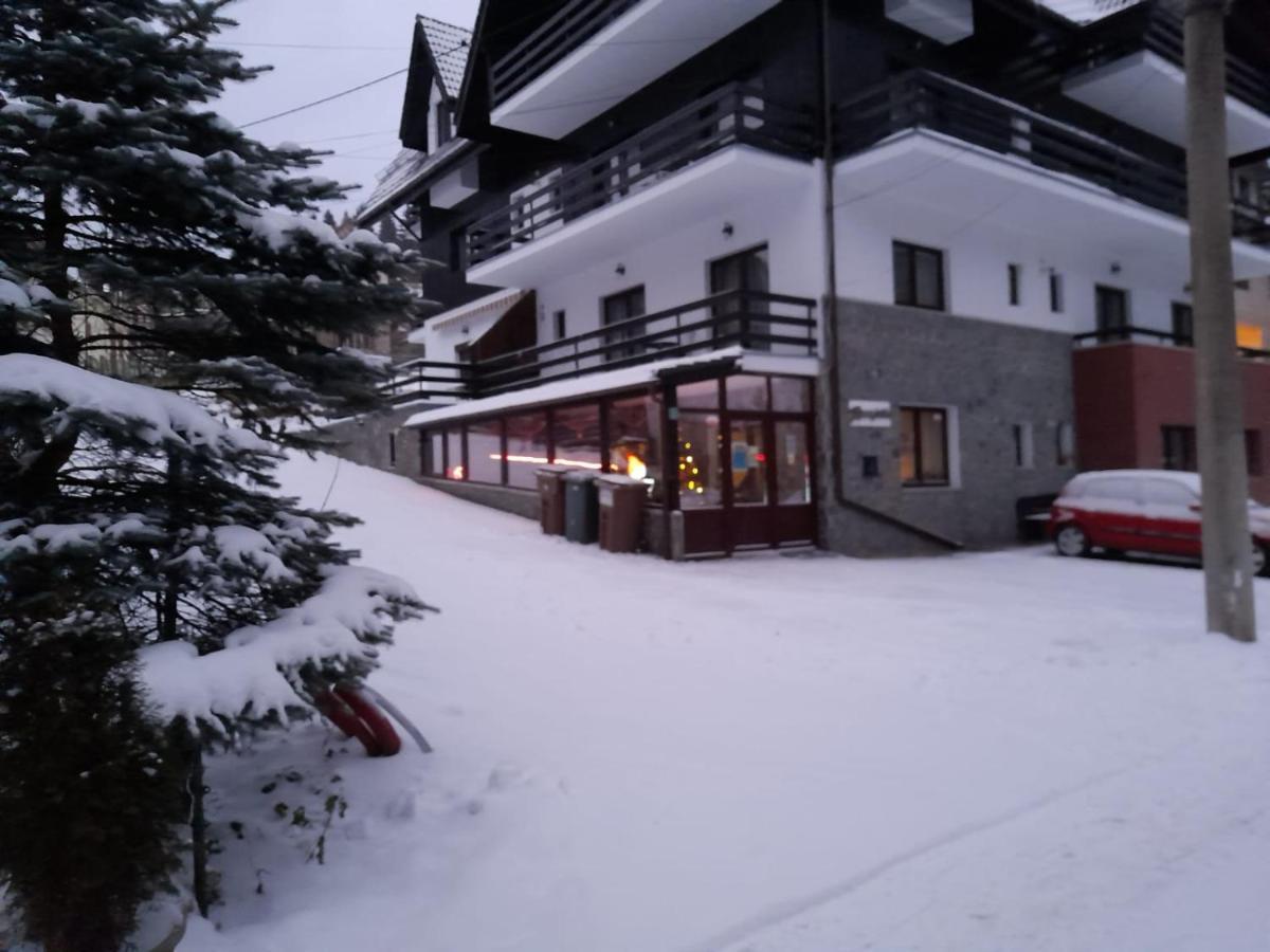 Residence Sinaia Apartments Apartament Sinaia